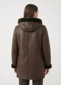 Hailuo_image_466392606506700808